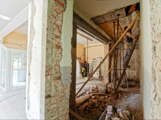 Duis fermentum felis