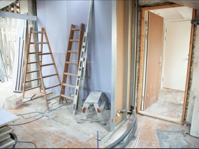 Proin venenatis felis